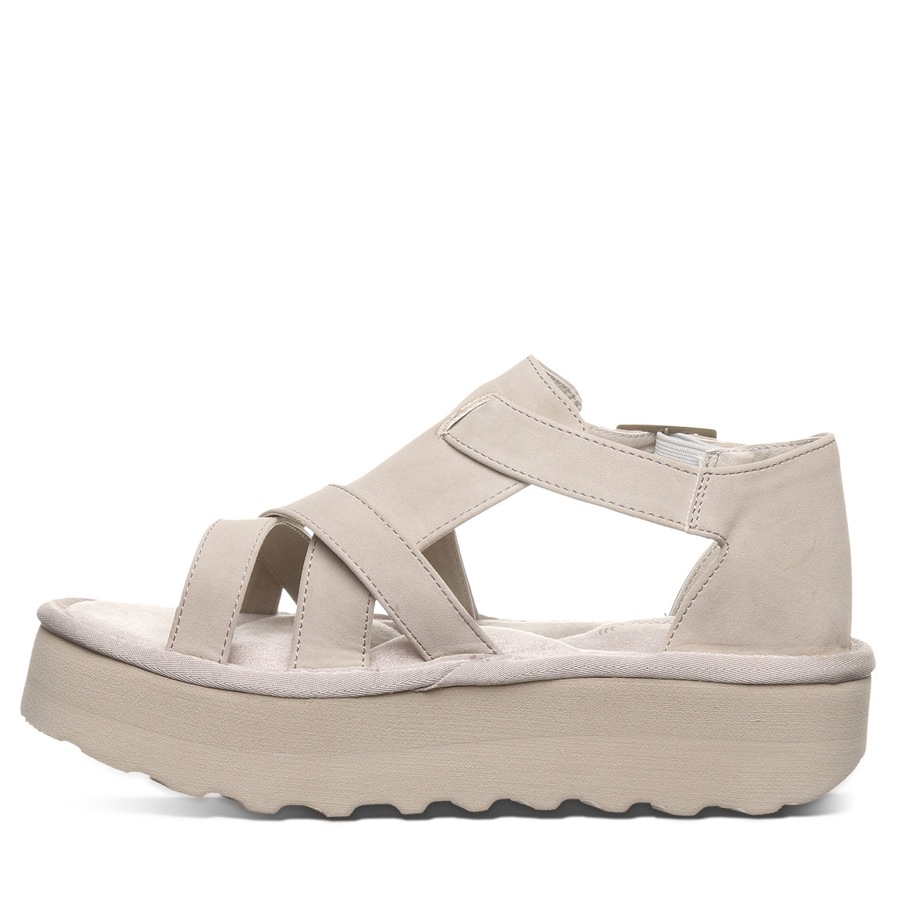 PINNACLE MUSHROOM - Image 3