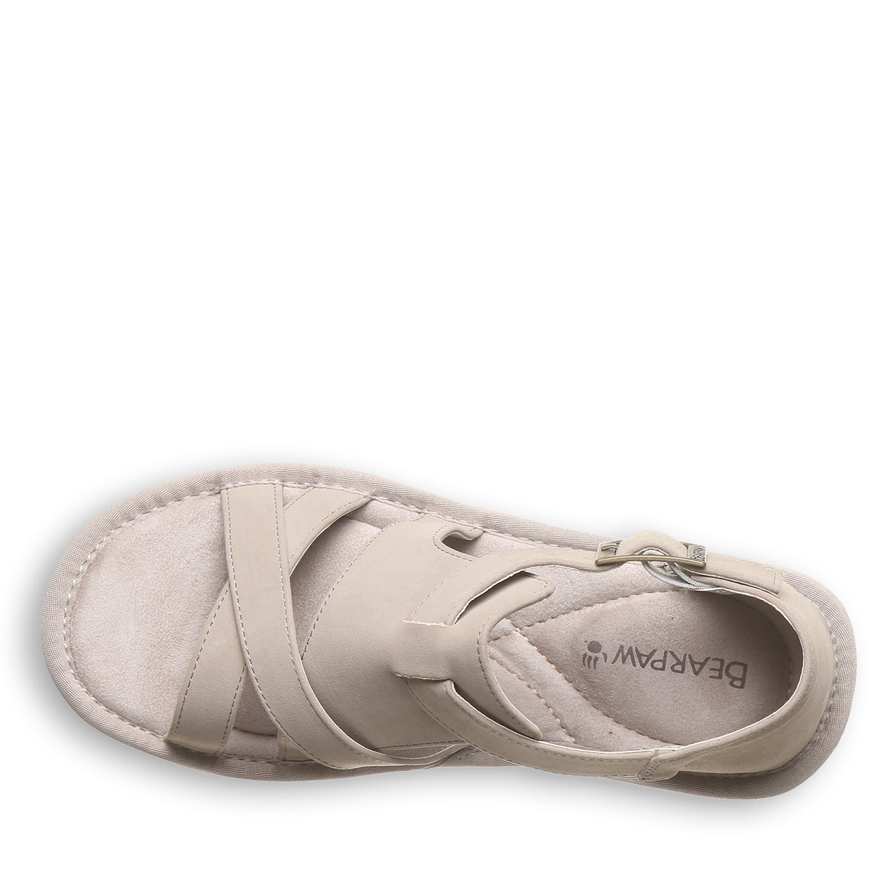 PINNACLE MUSHROOM - Image 5