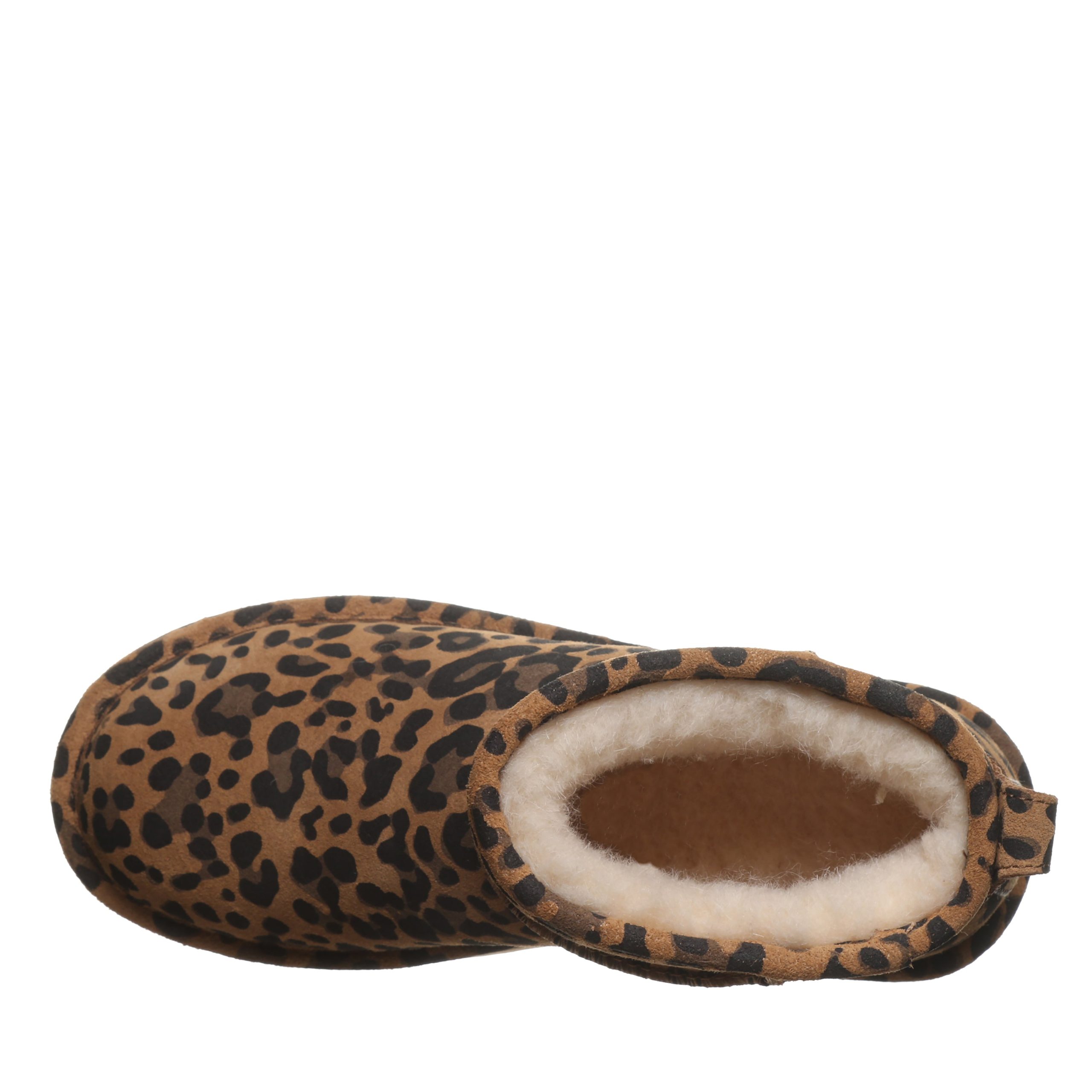 RETRO SHORTY EXOTIC TOBACCO LEOPARD - Image 5