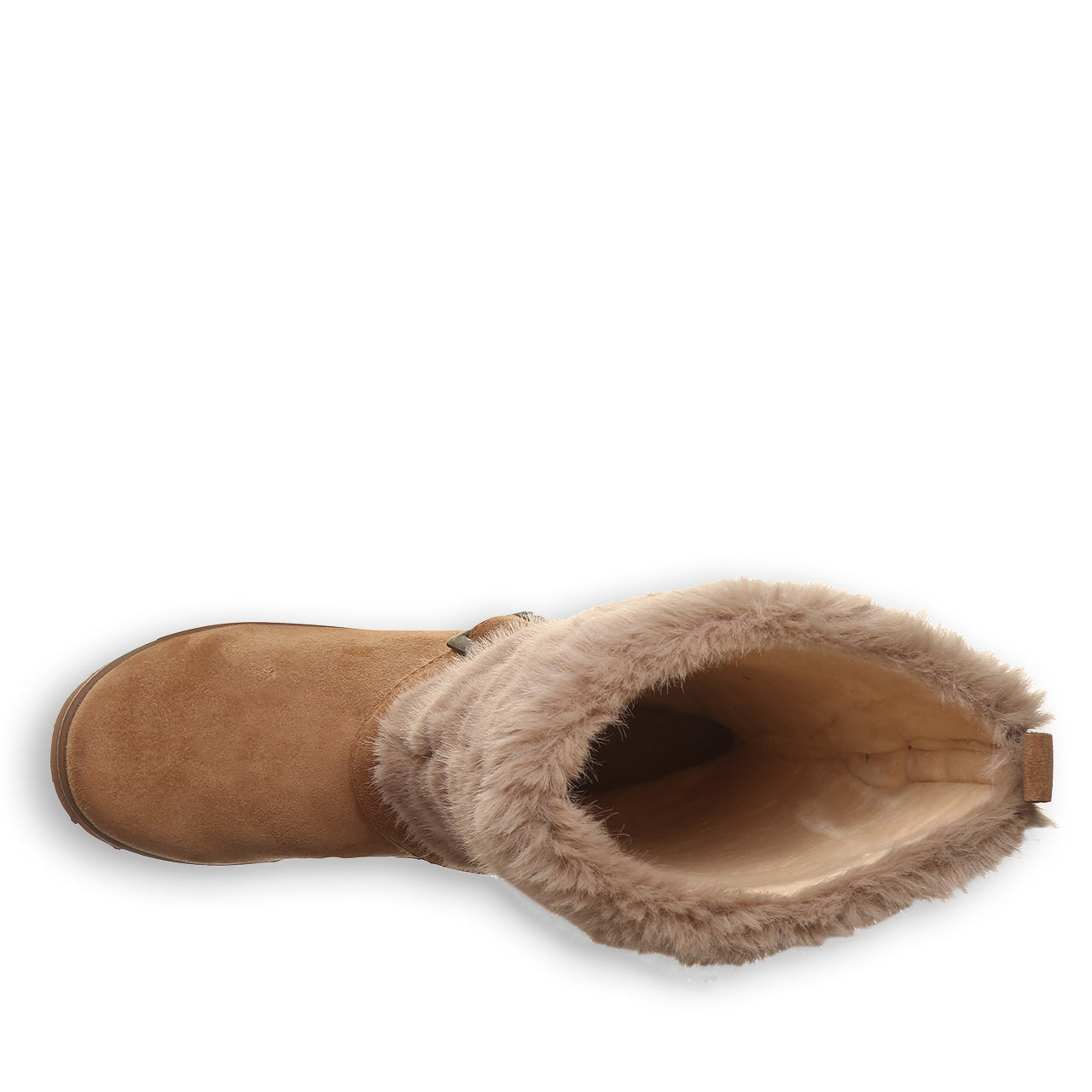 OCTAVIA HICKORY - Image 5