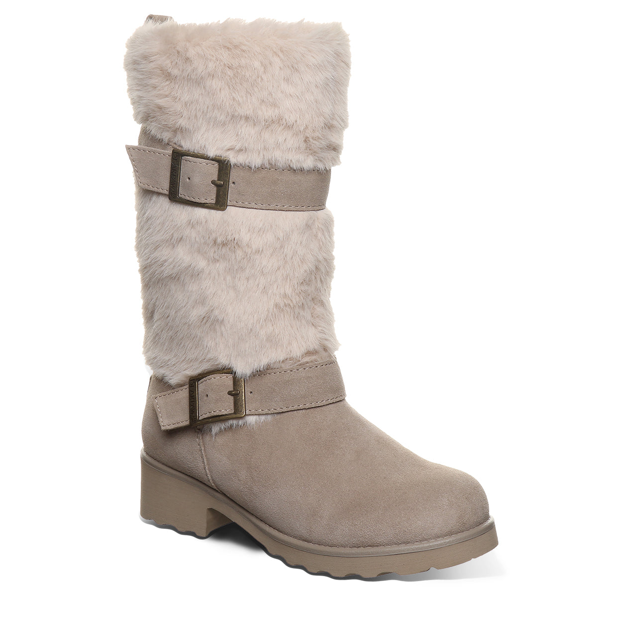 OCTAVIA MUSHROOM - Image 2