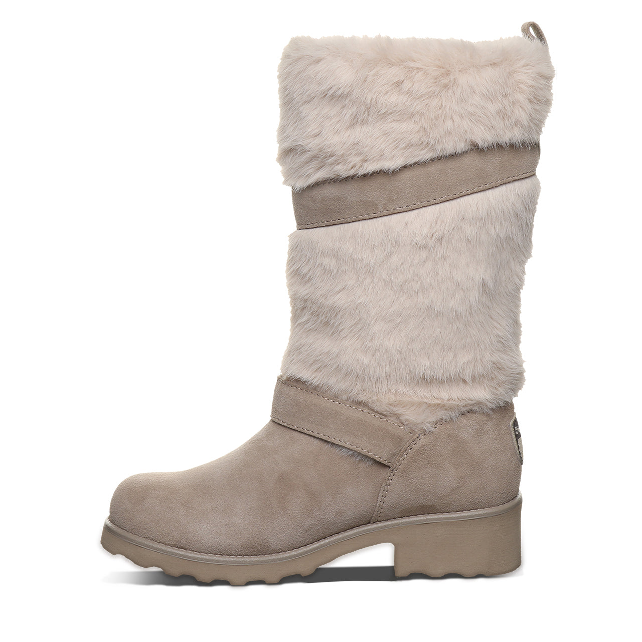 OCTAVIA MUSHROOM - Image 3