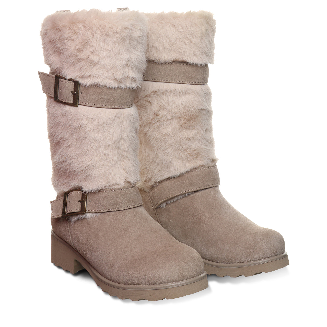 OCTAVIA MUSHROOM - Image 6