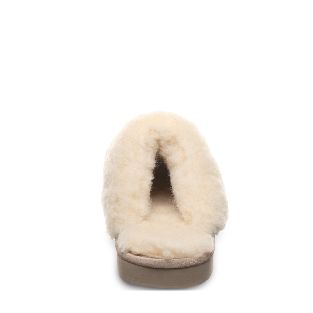 LOKI II MUSHROOM - Image 6